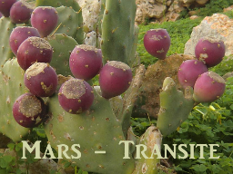 Webinar: Mars-Transite - Mut Aufbruch und Konfrontation