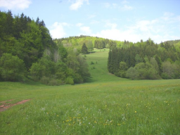 German Hunza Tal - Pilotprojekt der Neuen Zeit