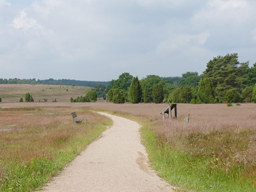 Webinar: Erlebnis Lüneburger Heide