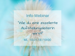 Webinar: Wie du eine exzellente Aufstellungsleiterin wirst