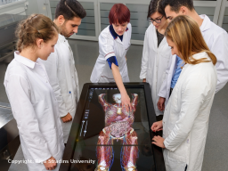 Webinar: Medizin international studieren: Studienmöglichkeiten in der EU