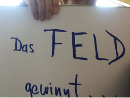 Webinar: Das FELD gewinnt