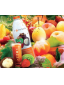 Vemma Romania
