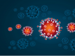 Webinar: Der Coronavirus aus schamanischer Sicht