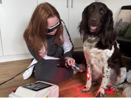 Webinar: 5-E™ Power-Laser Vorstellung mit Tierarzt Thomas Backhaus