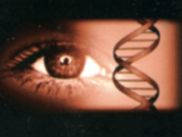 Webinar: Modul 1 Ausbildung Augendiagnose und visuelle Diagnostik Modul 1