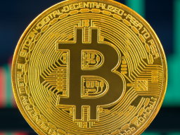 Webinar: Krypto-Investments besser verstehen