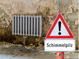 Webinar: Da ist Schimmel! Und die Wärmedämmung!?