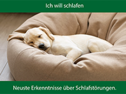 Ich will schlafen: Neuste Erkenntnisse uber Schlafstörungen.