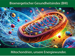 Bioenergetischer Gesundheitsindex (BHI) Mitochondrien = Energiewunder.