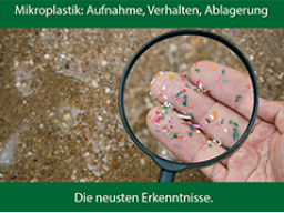 Mikroplastik: Aufnahme, Verhalten, Ablagerung  die neusten Erkenntnisse.