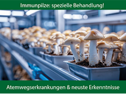 Immunpilze: Behandlung von Atemwegserkrankungen, neuste Entwicklungen.
