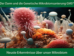 Der Darm und die Genetische Mikrobiomsanierung GMS®: Butyratbildner, Mukosa protektive Bakterien