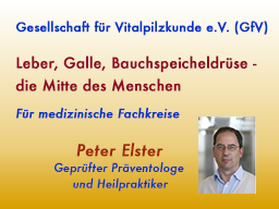 Webinar: Leber, Galle, Bauchspeicheldrüse - die Mitte des Menschen