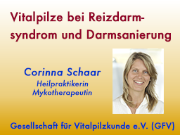 Webinar: Vitalpilze bei Reizdarmsyndrom und Darmsanierung