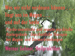 Webinar: Was wir nicht verdauen können . . . liegt uns im Magen . . . und auf der Seele