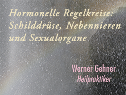 Webinar: Hormonelle Regelkreise: Schilddrüse, Nebennieren und Sexualorgane