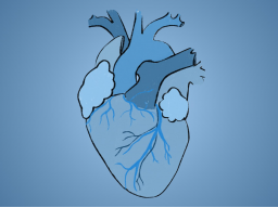Sprechstunde: Koronare Herzkrankheit