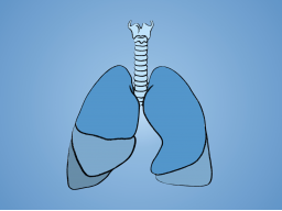 Sprechstunde: COPD und chronische Bronchitis