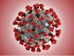 Webinar: Corona- und Masernvirus - Grundkenntnisse und Besonderheiten der Viren