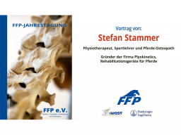 Webinar: 41. Jahrestagung FFP 2024: 2. Vortrag, Stefan Stammer