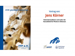 Webinar: 41. Jahrestagung FFP 2024: 7. Vortrag, Jens Körner