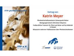 Webinar: 41. Jahrestagung FFP 2024: 9. Vortrag, Katrin Meyer