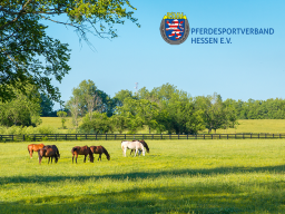 Webinar: Grünlandpflege und Unkrautvermeidung in der Pferdehaltung