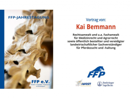 Webinar: 41. Jahrestagung FFP 2024: 5. Vortrag, Kai Bemmann