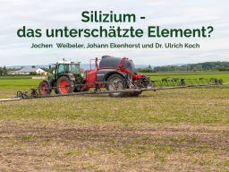 Webinar: Silizium - das unterschätzte Element?