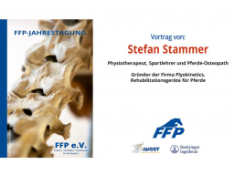 Webinar: 41. Jahrestagung FFP 2024: 8. Vortrag, Stefan Stammer