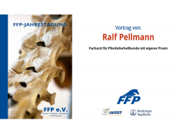 Webinar: 41. Jahrestagung FFP 2024: 6. Vortrag, Ralf Pellmann