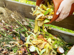 Webinar: Kompost und Bokashi - organischen Dünger einfach selber machen