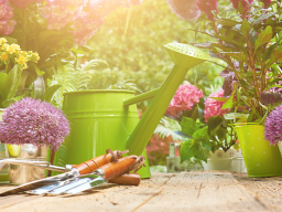 Webinar: Wie mache ich meinen Garten klimafit? Widerstandsfähigere Pflanzen durch Effektive Mikroorgansimen