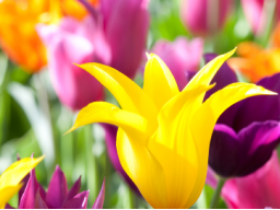 Webinar: Webinar "Liebe leben!"