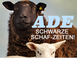 Webinar: "Glückstag in Ottobrunn"