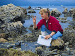 Webinar: Gastsemester in Australien oder Neuseeland