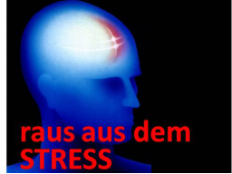 Webinar: raus aus dem STRESS