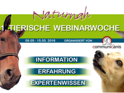Webinar: Von Pferden lernen. (Andrea Köhler)