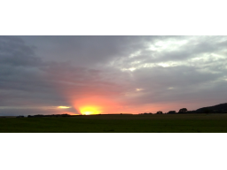 Webinar: Liebeskummer- Einzelcoaching