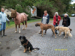 Webinar: Sachkunde Hund - Der Hund in der Öffentlichkeit