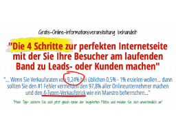 Webinar: Die 4 Schritte zur perfekten Internetseite mit der Sie Ihre Besucher am laufenden Band zu Leads- oder Kunden machen