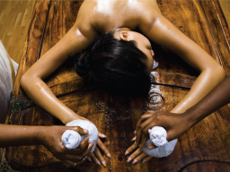 Webinar: Urlaub & Gesundheit: Ayurveda in Indien