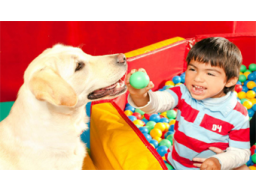 Webinar: Assistenzhunde für Kinder