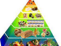 Webinar: Gesunde Ernährung im Alltag