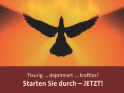 Webinar: Wie Phönix aus der Asche!