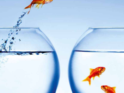 Webinar: ApasVital, Wasser in reiner Form
