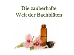 Webinar: Einführung in die zauberhafte Welt der Bachblüten
