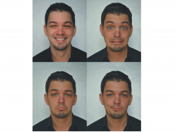 Webinar: Körpersprache in Webinaren???