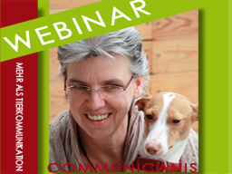 Webinar: Tierkommunikation - das Informationswebinar